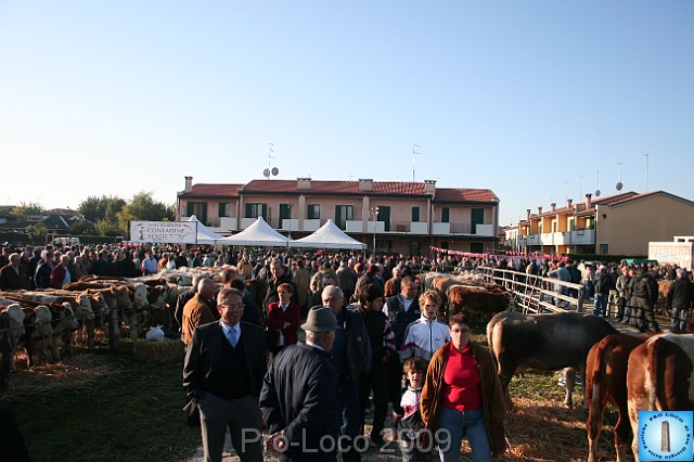 In prà della Antica Fiera di Arsego (13).JPG